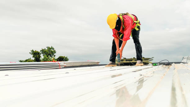 Best Skylight Installation and Repair  in Decorah, IA